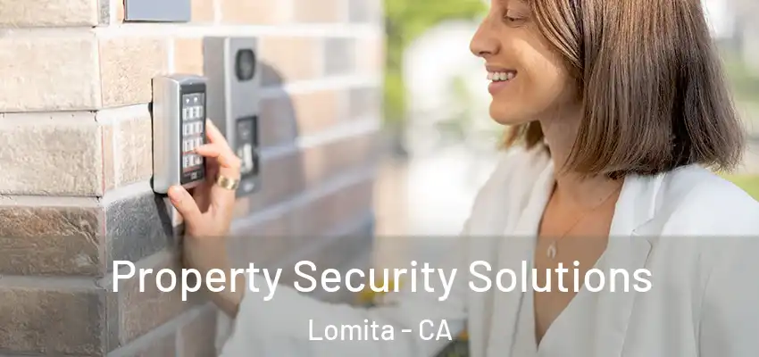 Property Security Solutions Lomita - CA